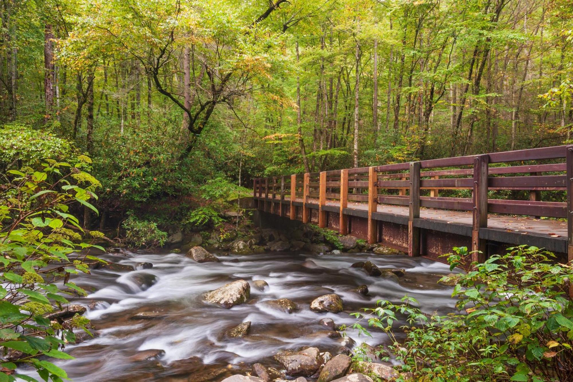 Highland Dream, Hot Tub, 1089 Free Tickets Each Paid Day, Dollywood And More Sevierville Exterior foto